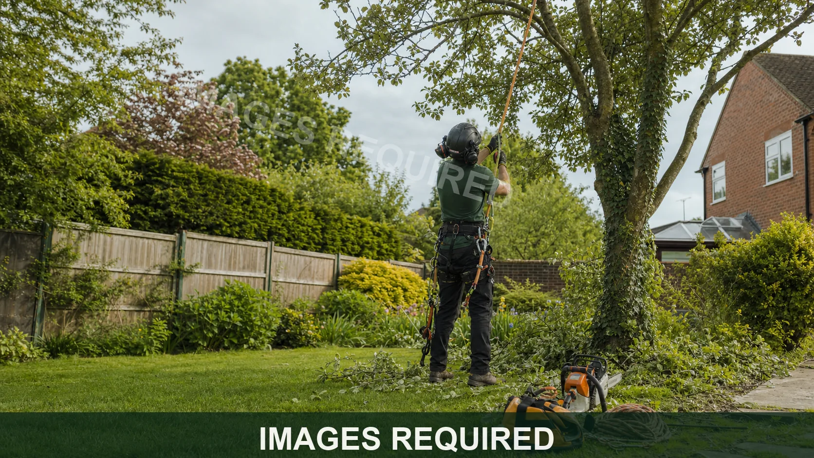 Temporary tree surgery image placeholder for Staffordshire Trees & Landscaping.