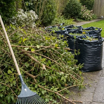 AI generated thumbnail showing branch and green waste removal.