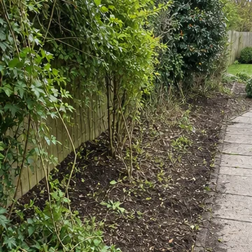 AI generated thumbnail showing overgrown garden clearance.