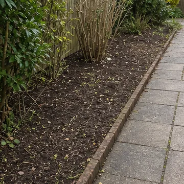 AI generated thumbnail showing path and border clearance.