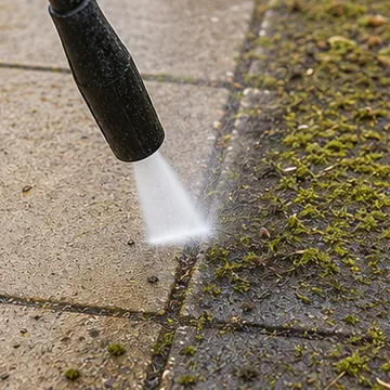 AI generated thumbnail showing moss removal.