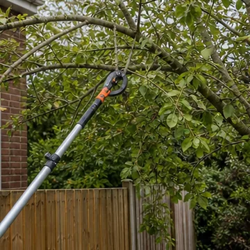 AI generated thumbnail showing overhanging branch work.